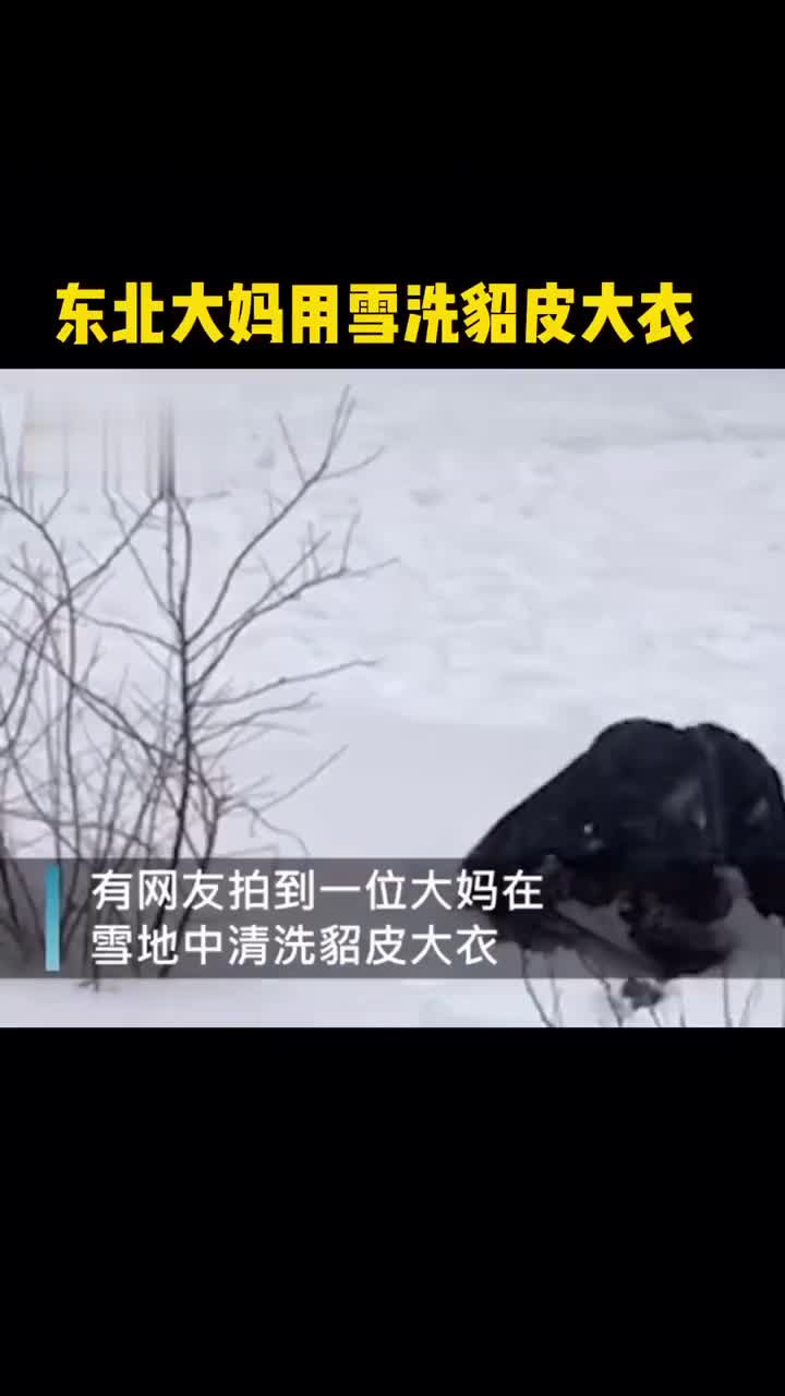 东北大妈雪地里洗貂网友原来貂是这样清洗的啊