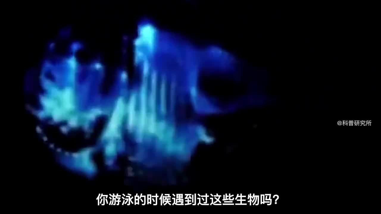 世界上最奇怪的鱼最后一个不像是地球生物五