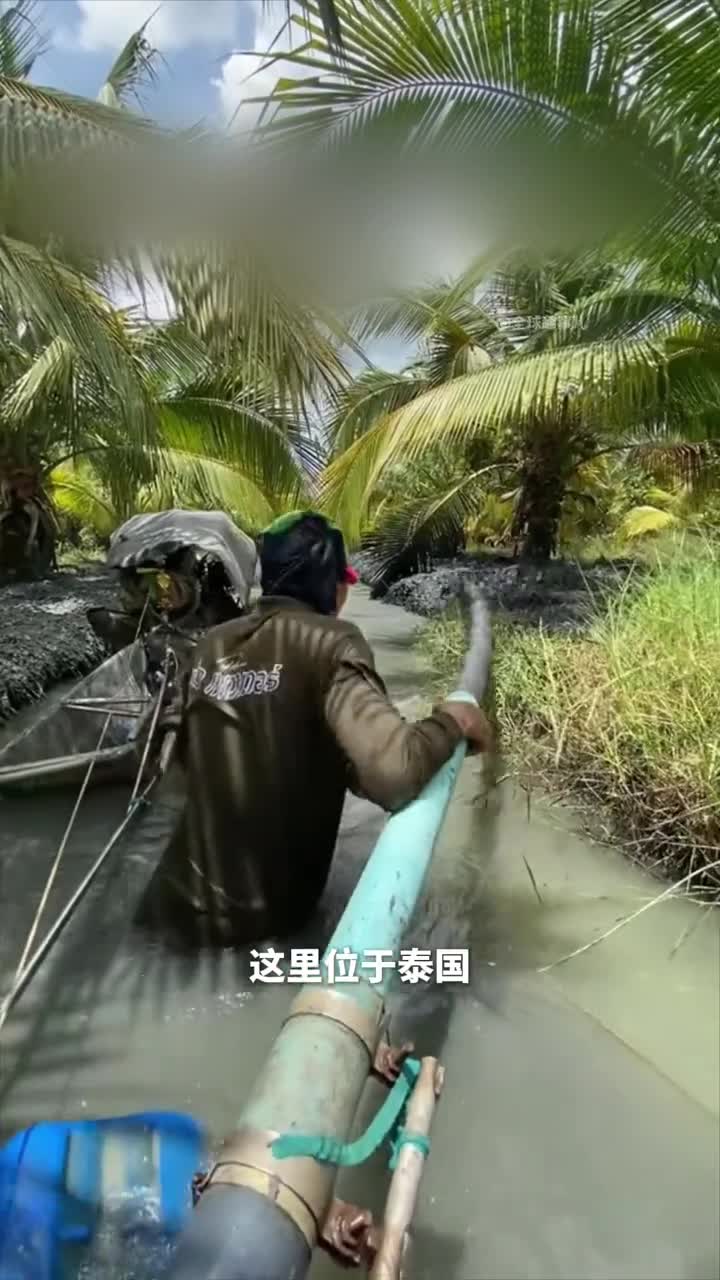 水渠清理原来果园水渠还有这么多用途