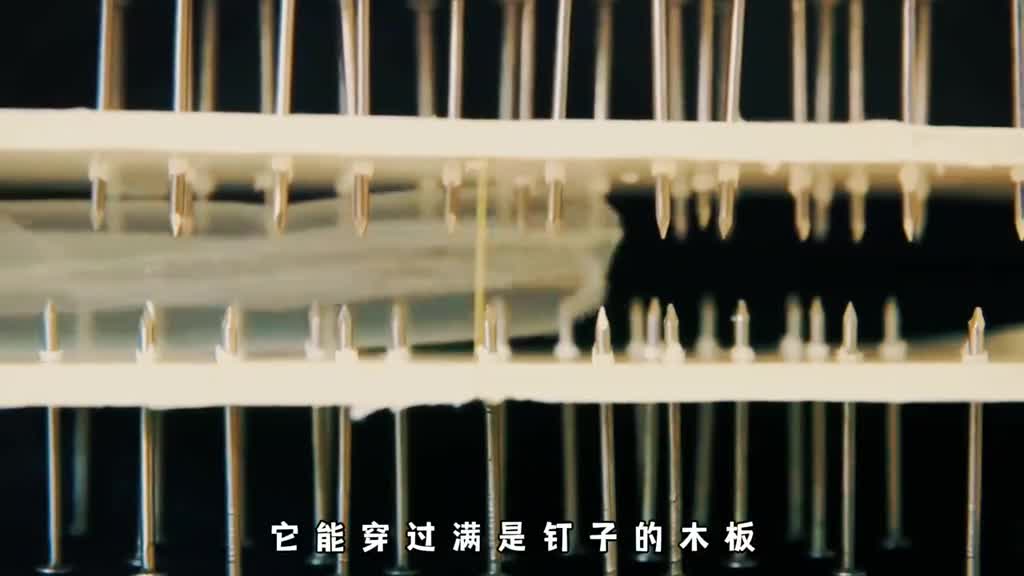 超强黑科技软体机器人究竟有多神奇