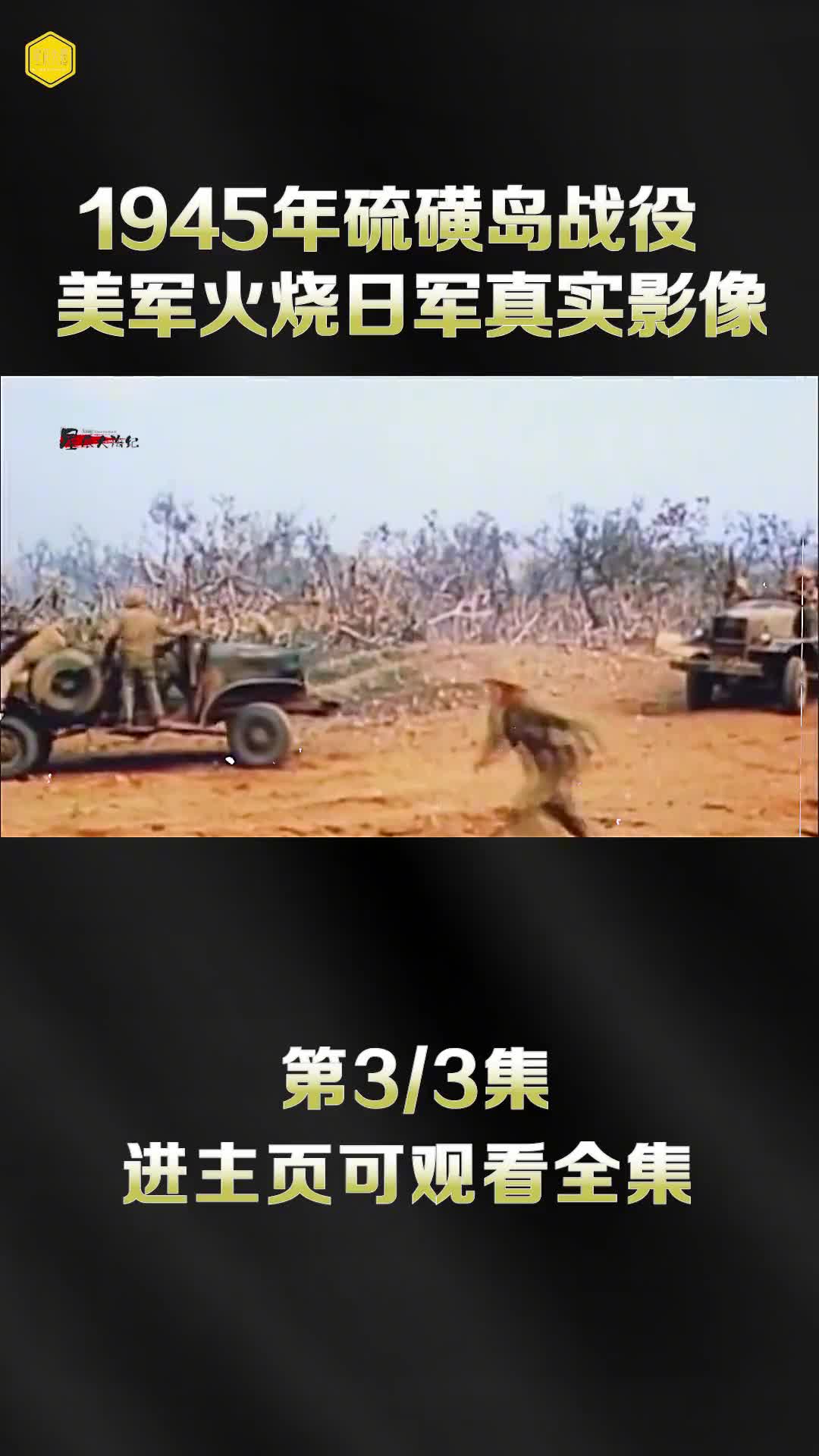 1945年硫磺岛战役真实影像美军喷火枪花式消灭日军