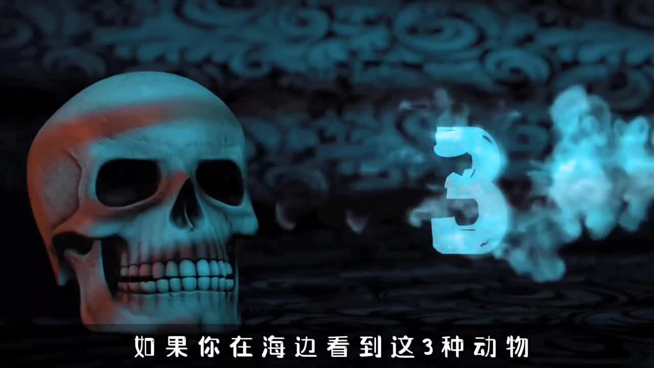 浅海区危险的三种动物遇到了赶快逃