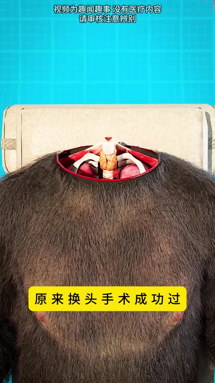 换头试验居然成功过