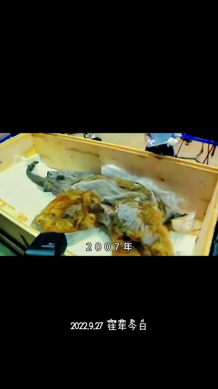 北极正在释放远古病毒