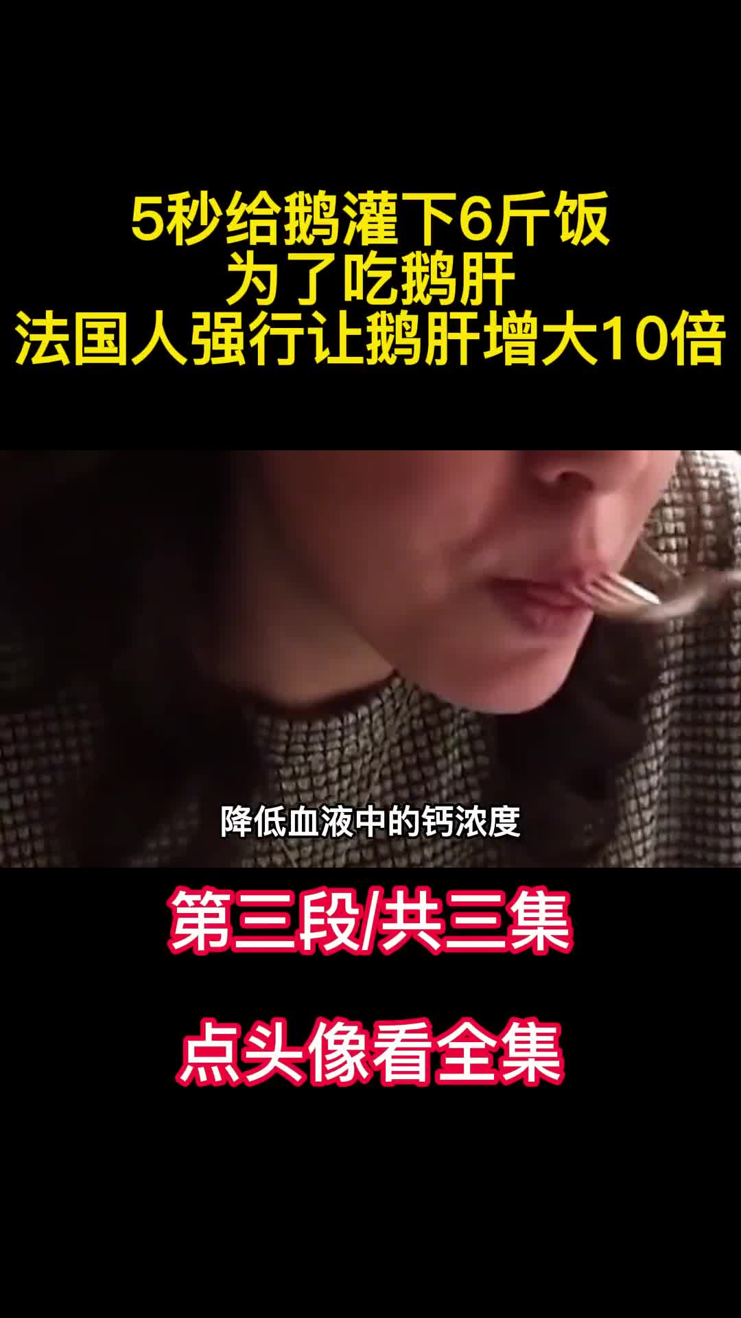 5秒给鹅灌下6斤饭为了吃鹅肝法国人强行让鹅肝增大10倍3