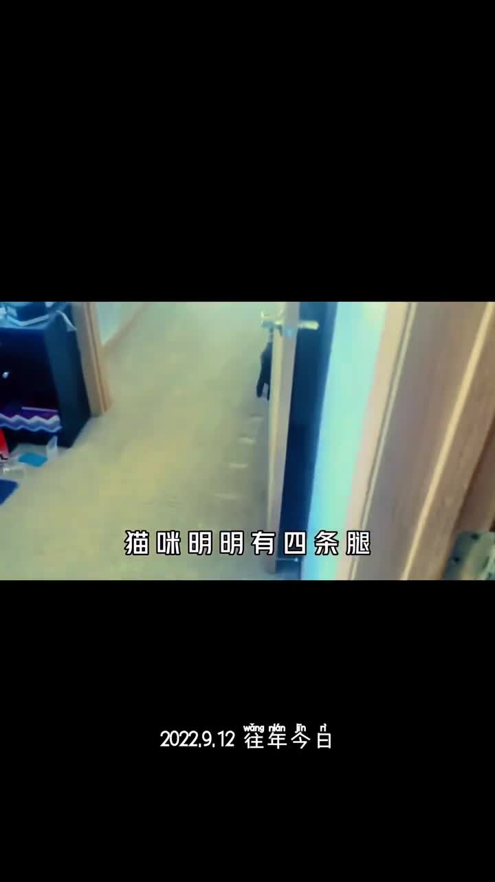 猫咪走路只会留下两个脚印的秘密
