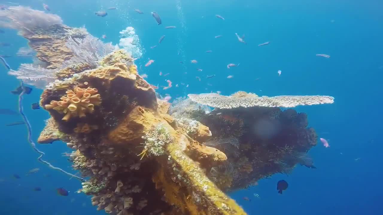 海底遨游坐标巴厘岛