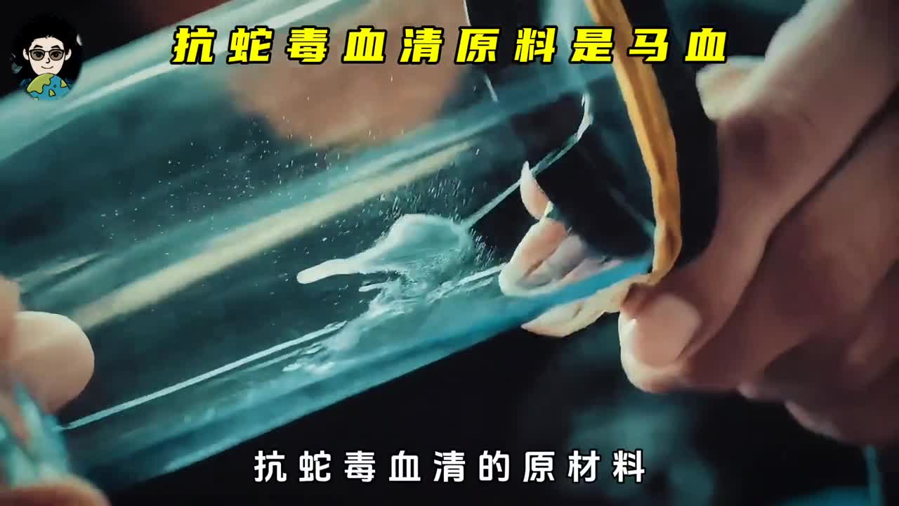 抗蛇毒血清主要原材料是马血这是为何