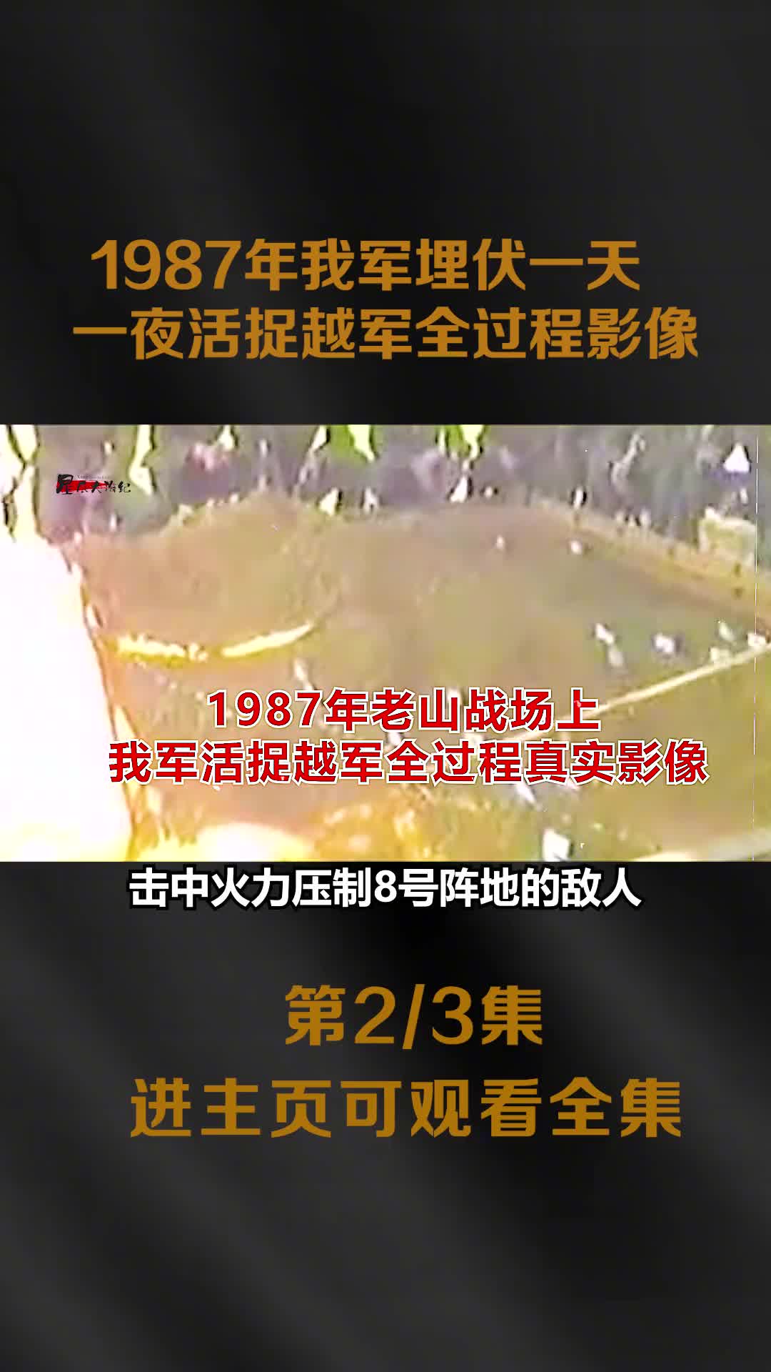 1987我军活捉越军全过程纪实我军埋伏一天一夜越军吓惨大声喊叫