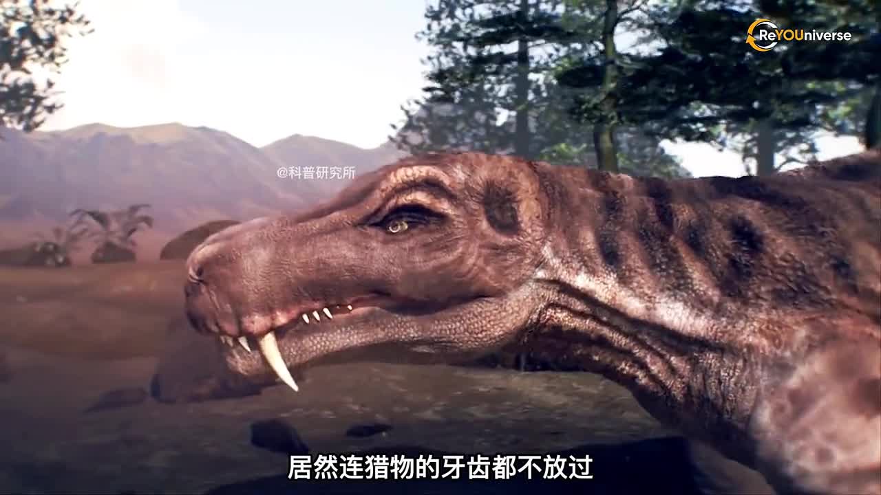 恐龙时期的七大神奇生物最后一个会让人感到恐惧二