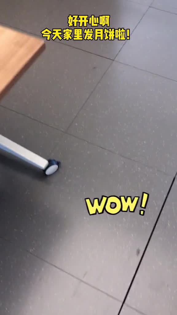 今天家里发月饼啦评论区告诉我你最喜欢什么口味的吧