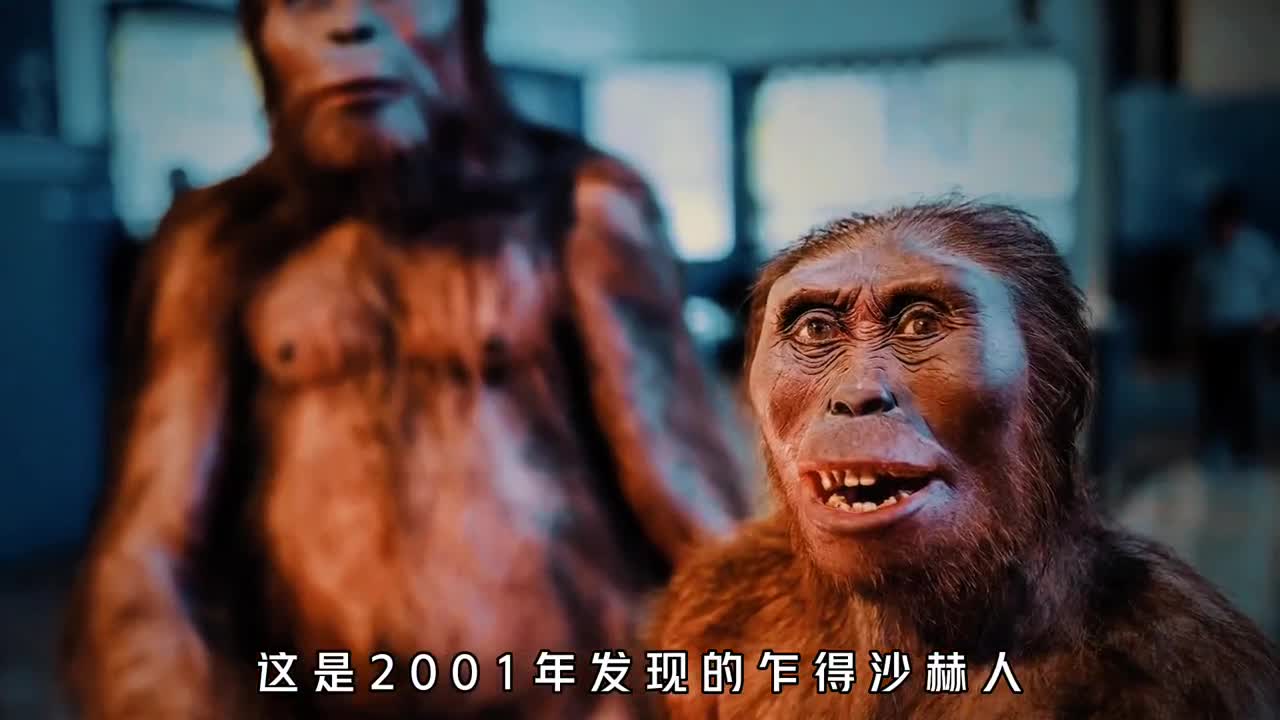 曾经地球上真实存在的4种人类你与哪个祖先相似