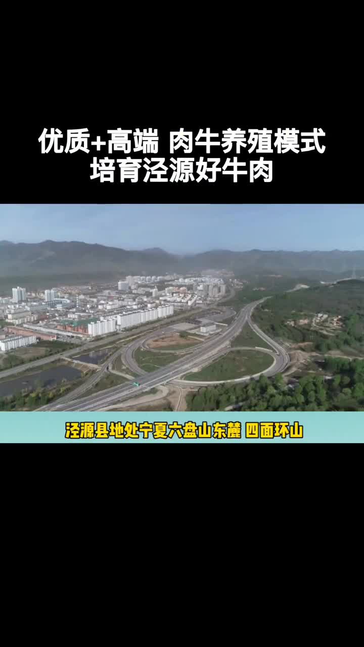 泾源县的肉牛是怎么来的你知道嘛