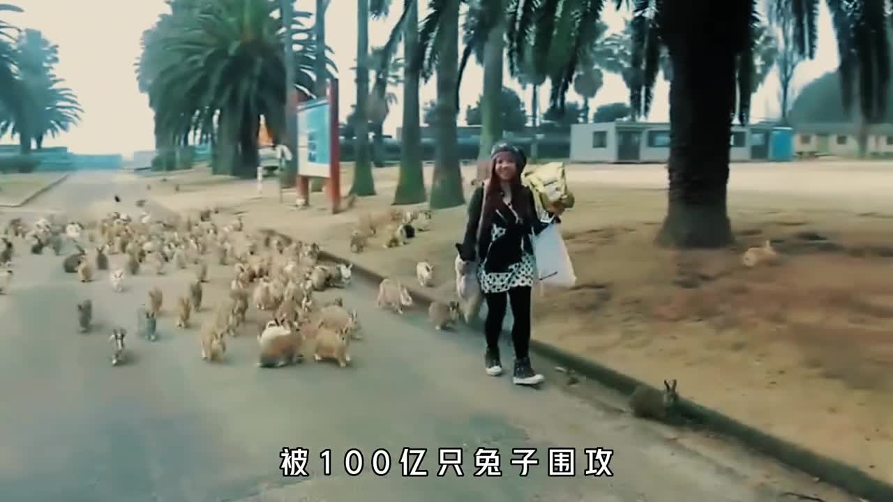 被一百亿只兔子围攻会是怎样的体验这是真实发生的故事