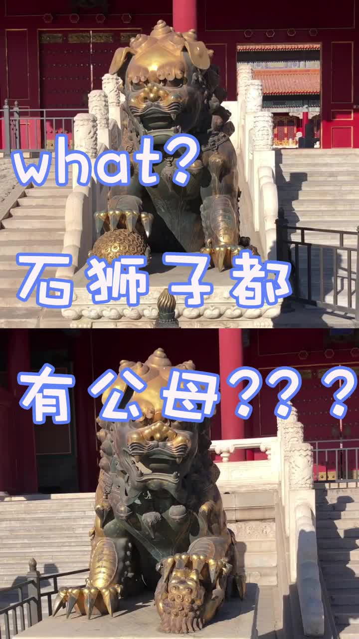 石狮子是有公母之分的你知道吗