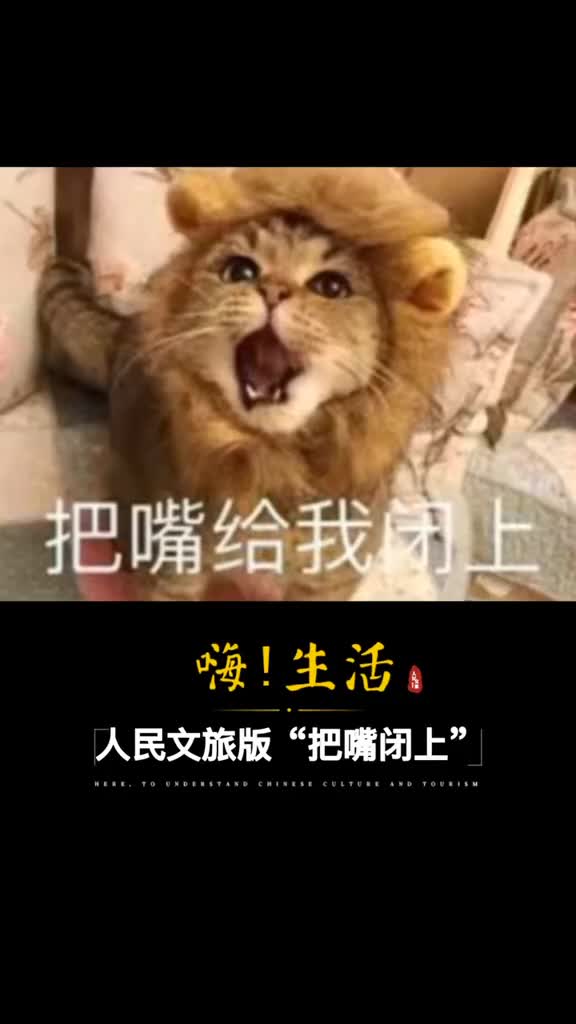 啥时候粉丝能赶上大哥关注我不就知道了