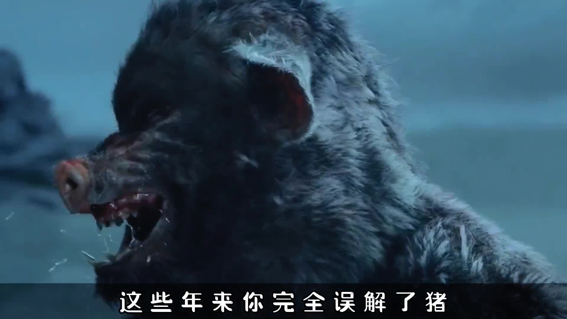 会画画的猪一幅画卖3万供不应求你想养一只吗