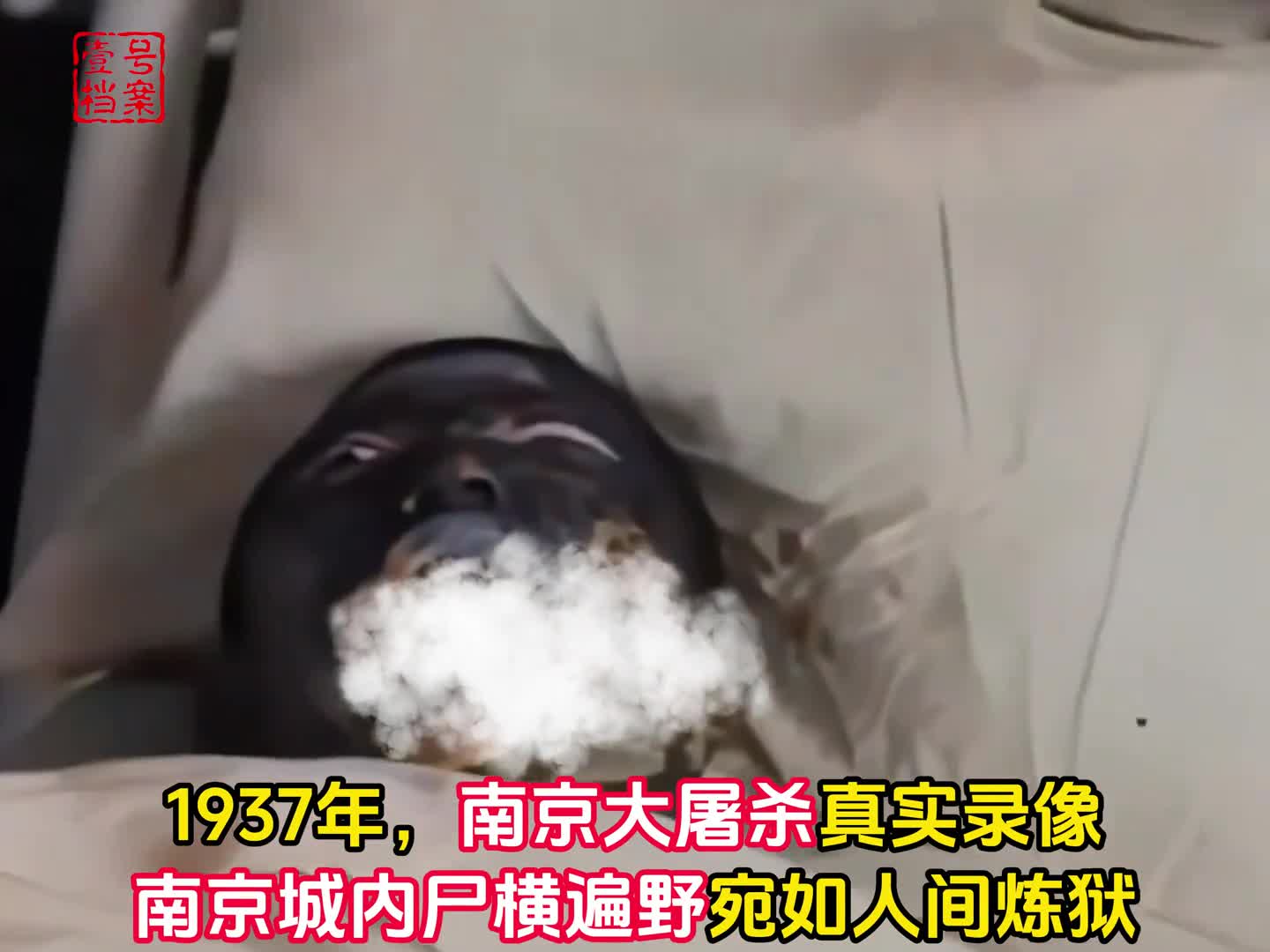 南京大屠杀唯一留存的真实录像南京城内尸横遍野宛若人间炼狱