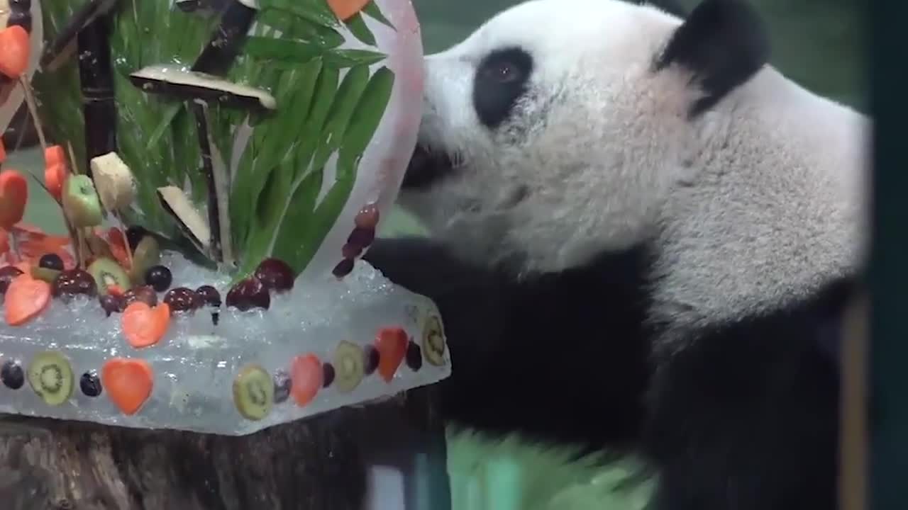 集万千美味于一个冰