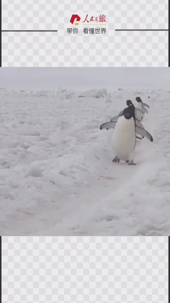 世上本没有路走的