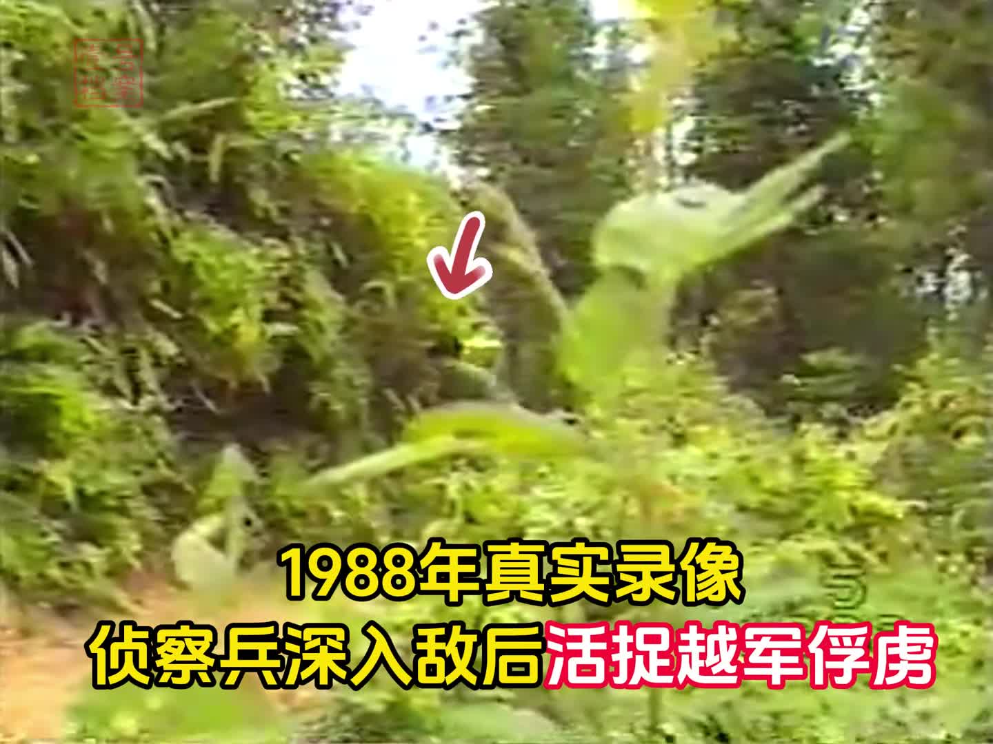 1988年解放军对越作战真实录像侦察兵敌后埋伏活捉敌军俘虏