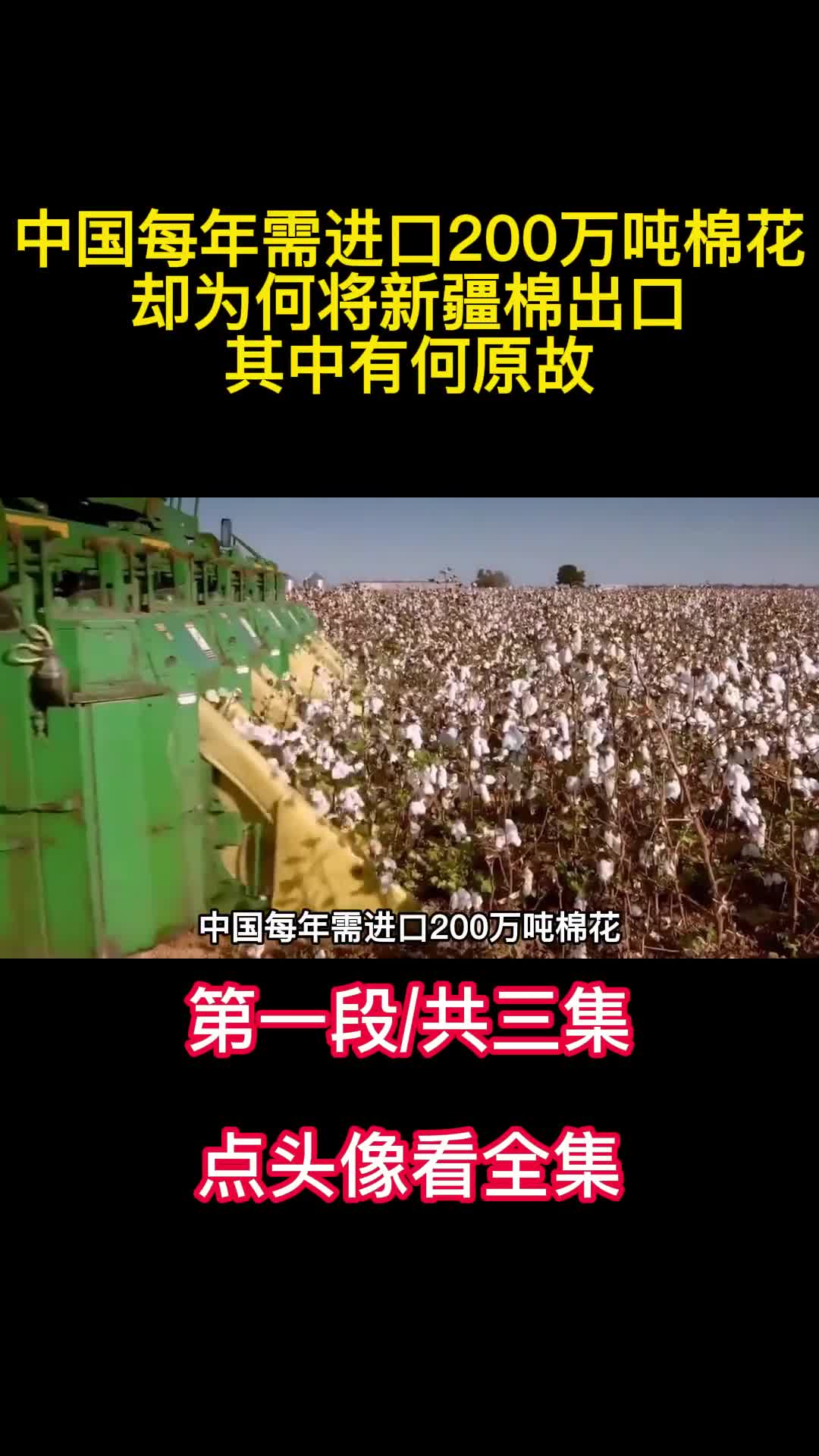中国每年需进口200万吨棉花却为何将新疆棉出口其中有何原故1