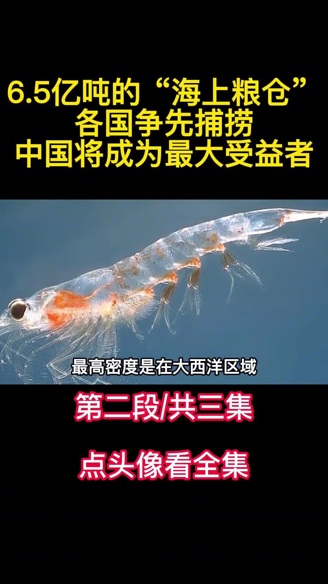 65亿吨的海上粮仓各国争先捕捞中国将成为最大受益者2