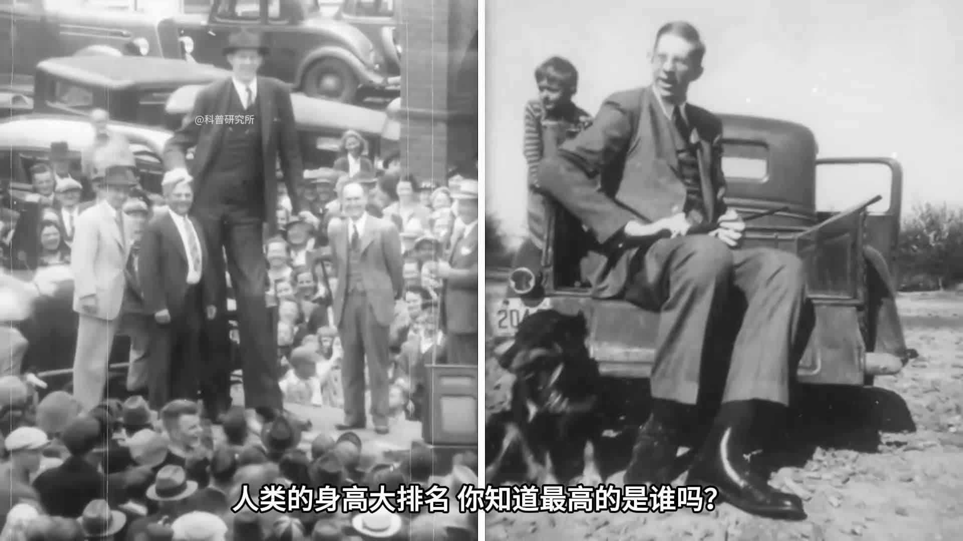 全世界最高的人大对比最高的人太夸张了二