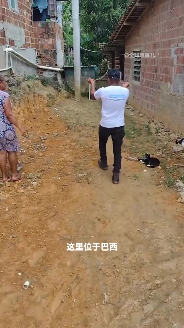 树枝找水源用树枝真的能找到地下水