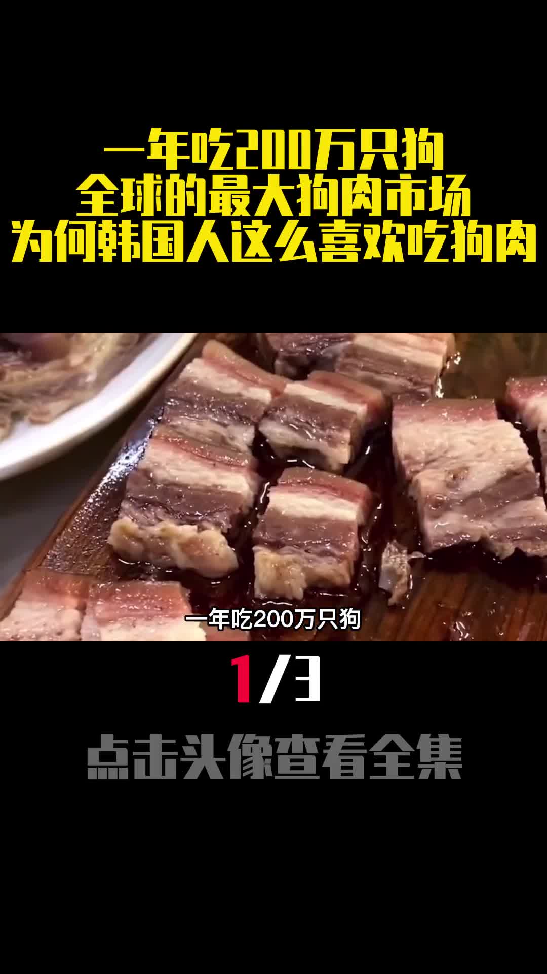 一年吃200万只狗全球的最大狗肉市场为何韩国人喜欢吃狗肉1