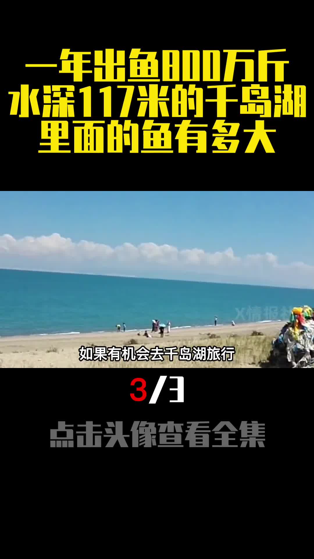 一年出鱼800万斤水深117米的千岛湖里面的鱼有多大3