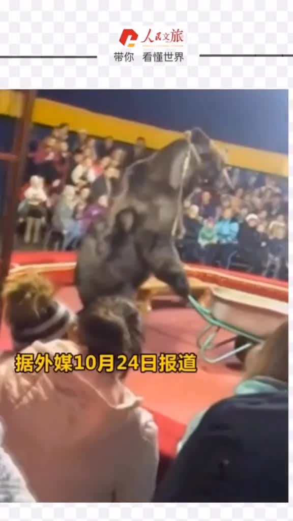 危险不要用你的爱毁掉无数美好转发