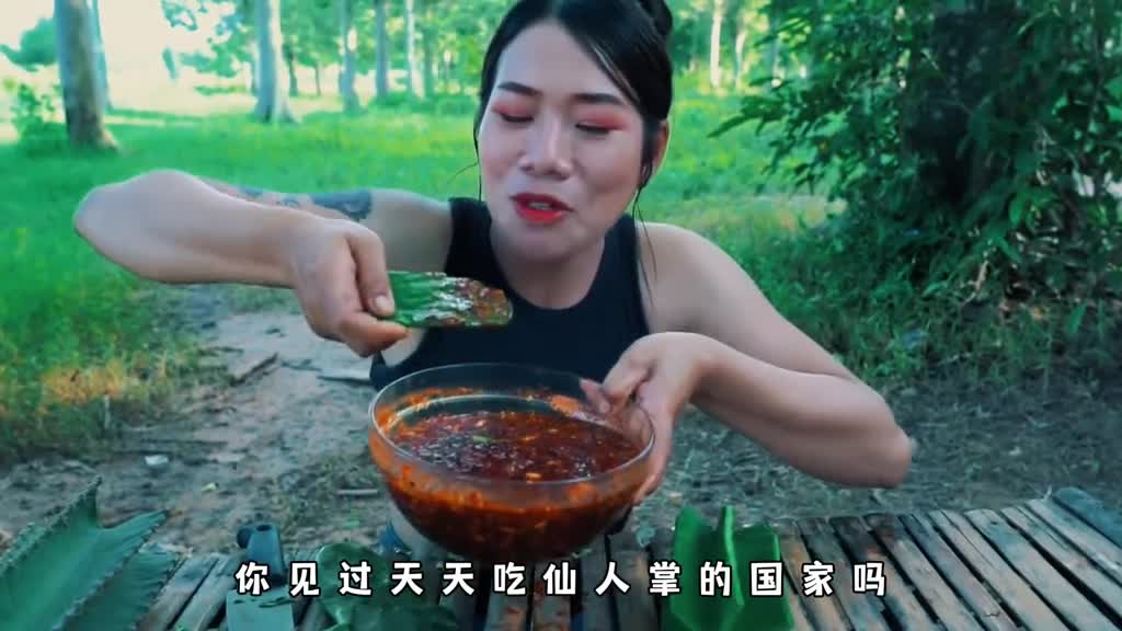 你见过天天吃仙人掌的国家吗