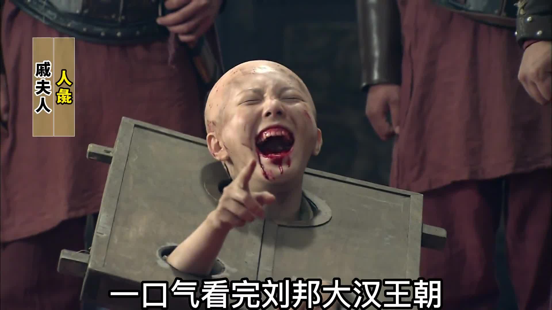 一口气看完西汉历史从刘邦登基称帝到穿越者王莽篡汉建立新朝