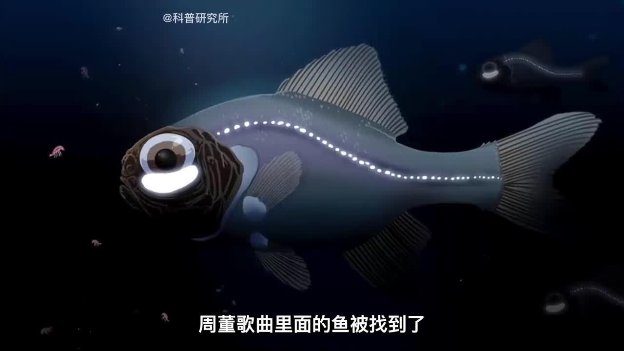 毒液二
