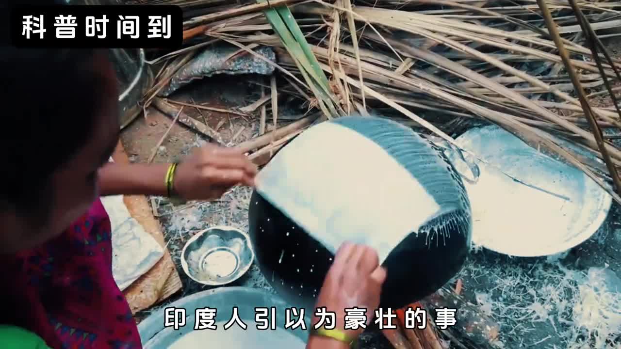 印度绝活奶奶靠着自制的销魂抹布饼声名远扬一起看下她的一天