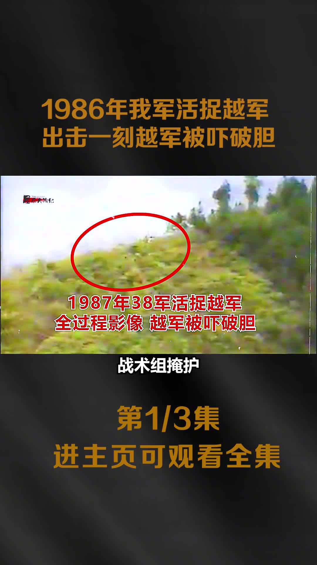 1986年我军捕俘战士活捉越军全程影像出击一刻越军被吓破胆1986年我军捕俘战士活捉越军全程影像出击一刻越军被吓破胆