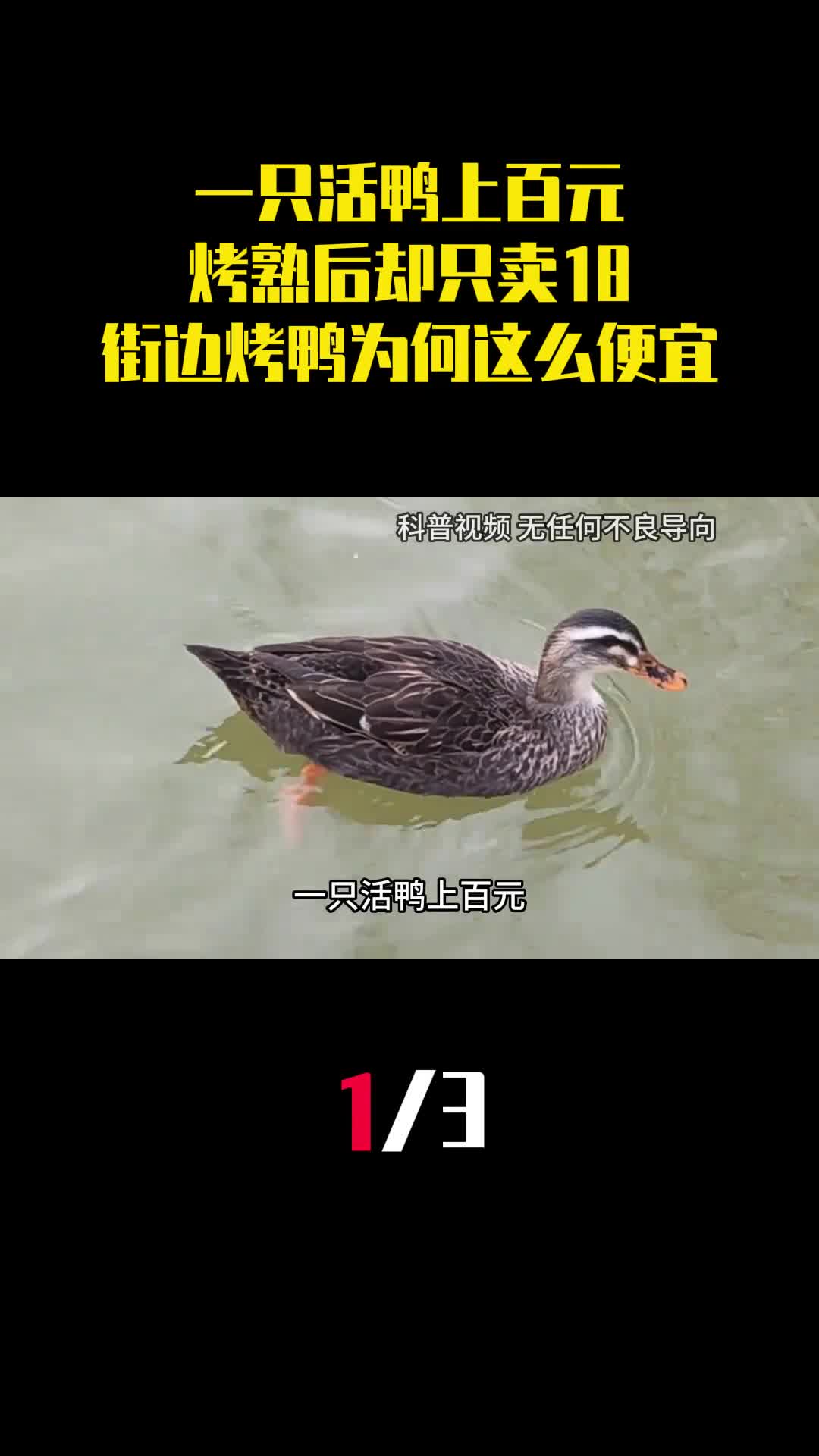 一只活鸭上百元烤熟后却只卖18街边烤鸭为什么这么便宜1