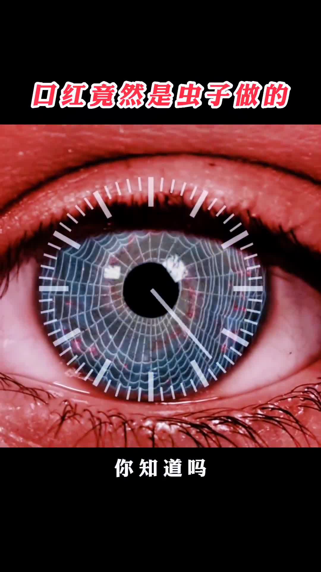 口红竟然是虫子尸体做的而且这个虫子还很贵