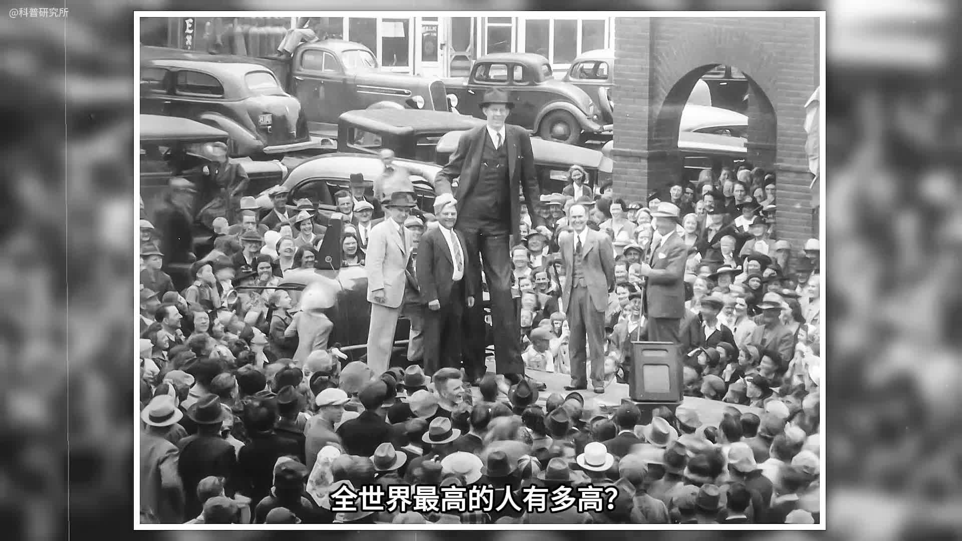 全世界最高的人大对比最高的人太夸张了一