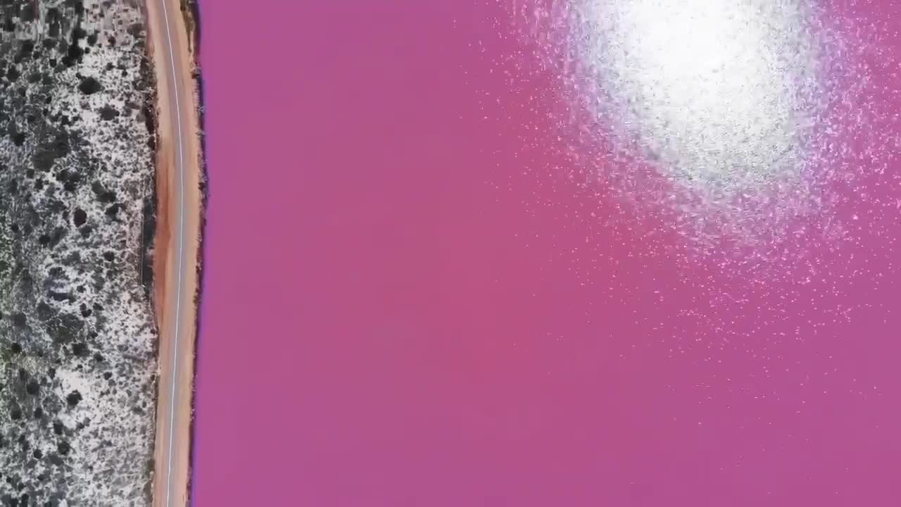 给你一湖少女心喜欢吗