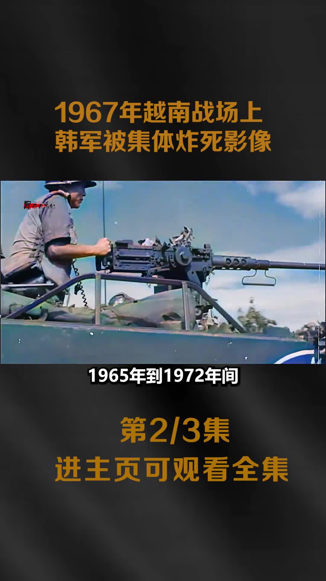 1967年韩军在越南被集体炸死真实影像美军投掷橙剂15万韩军受害