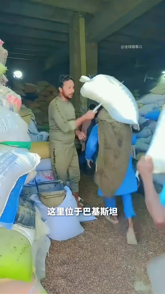 粮食检测为什么肩扛麻袋还要挨戳