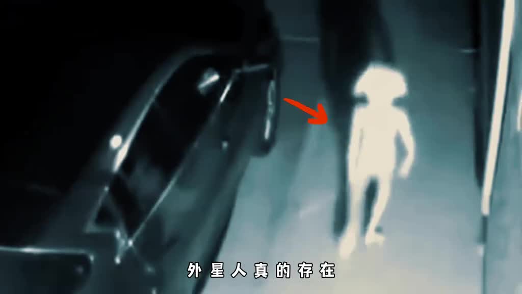 解读墨西哥外星人事件你见过真正的外星人吗