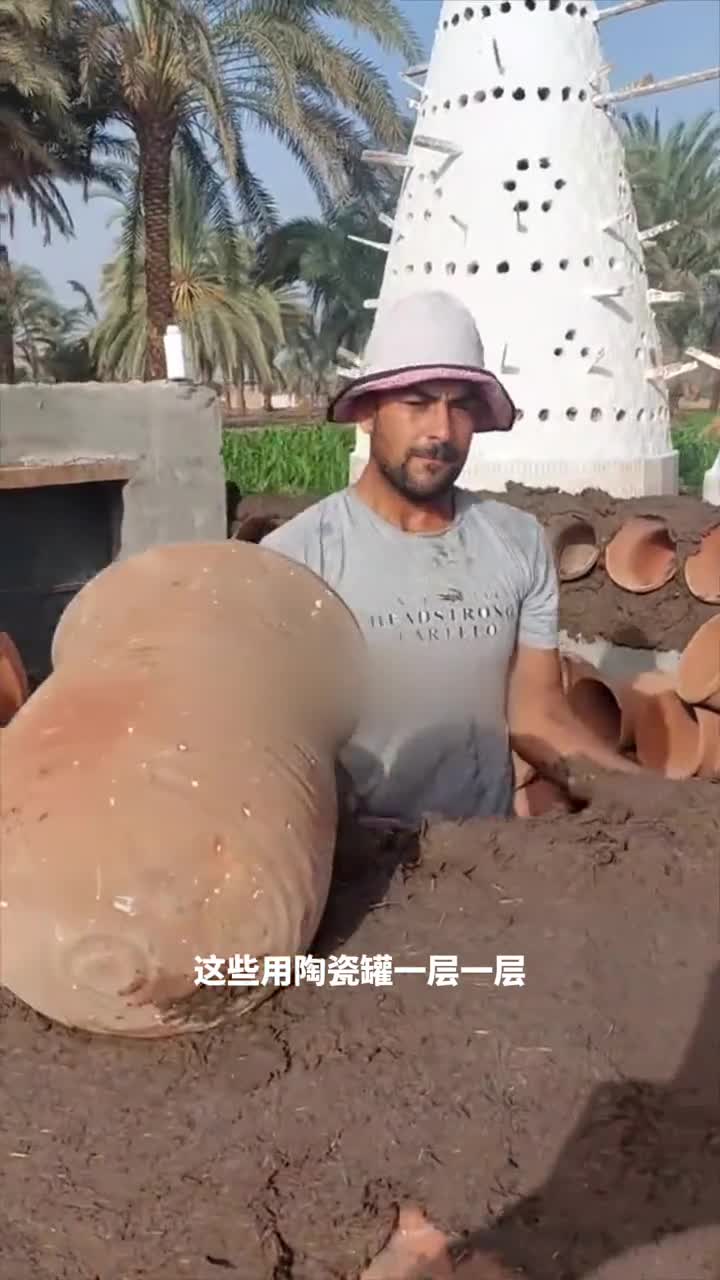 这些陶罐搭成的塔竟然是鸽子的豪宅