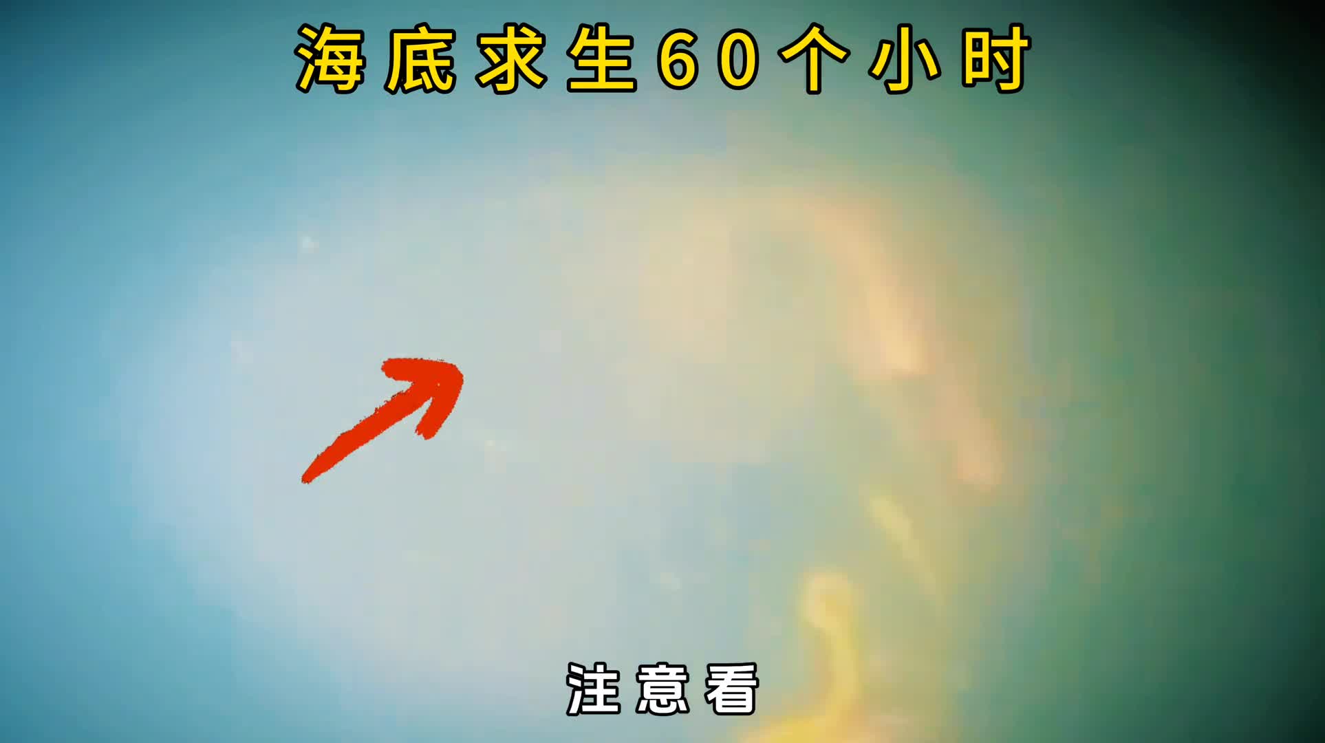 人类奇迹海底30米存活60个小时他是如何做到的