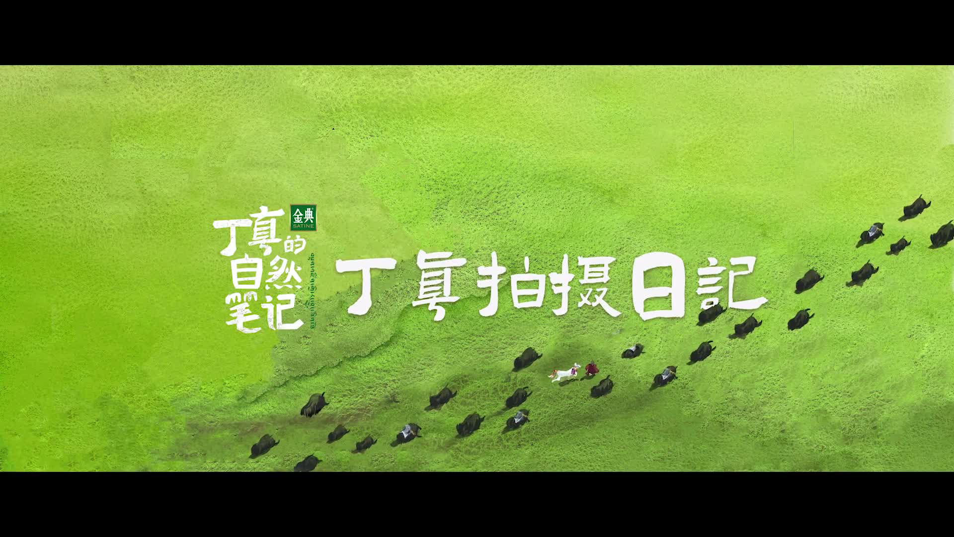 你知道牦牛是怎么算年龄的吗快来和