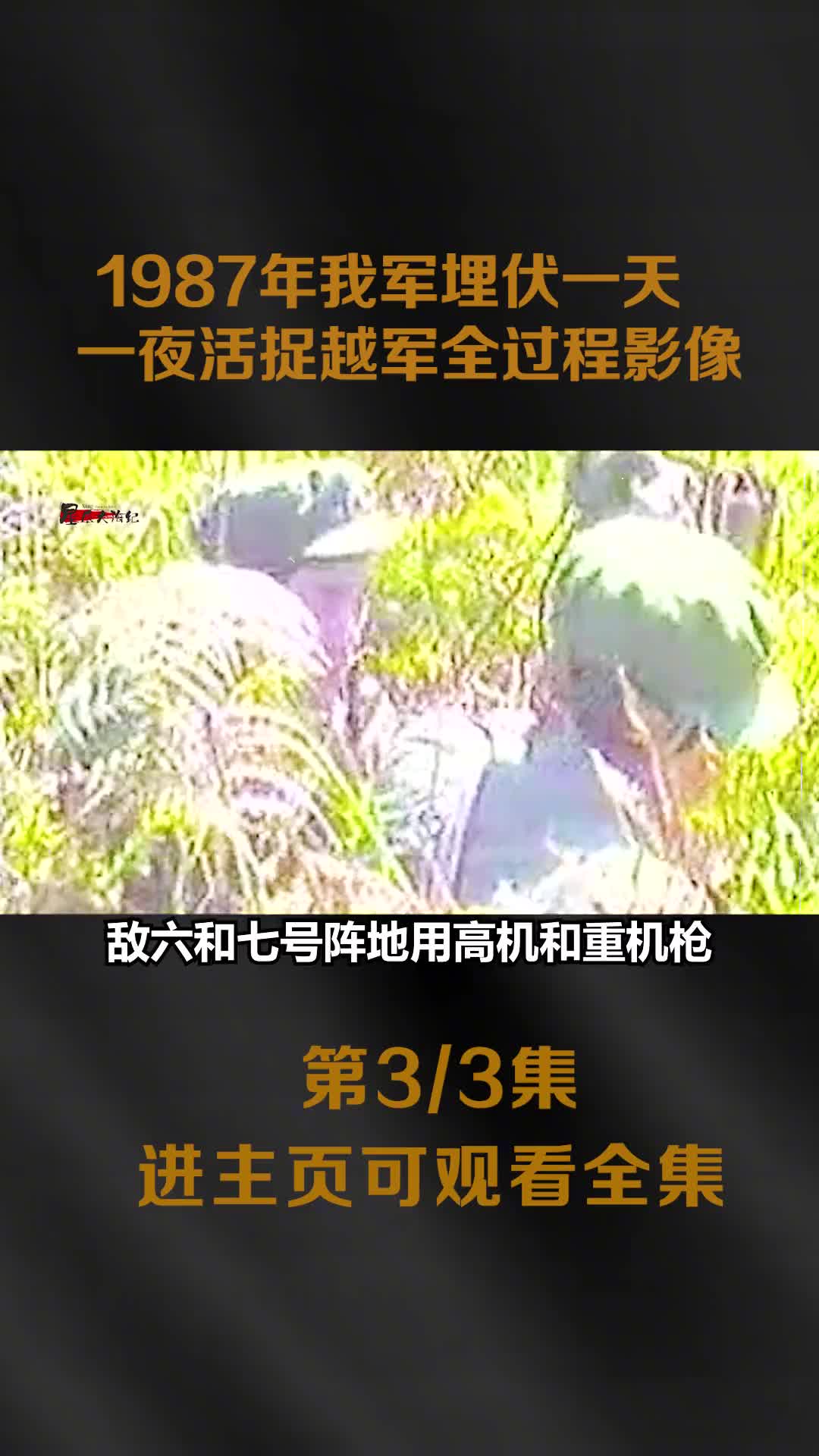 1987我军活捉越军全过程纪实我军埋伏一天一夜越军吓惨大声喊叫