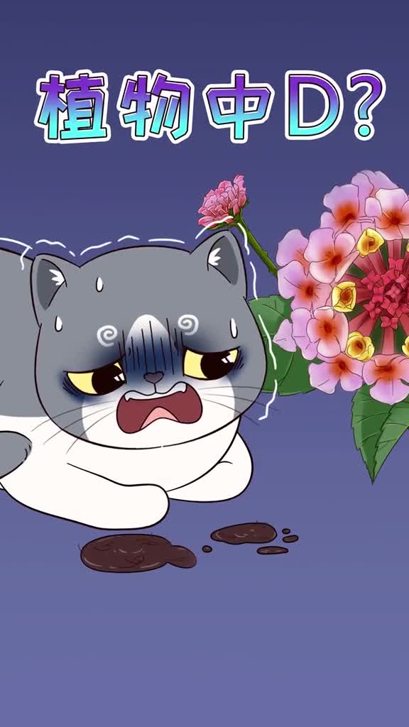 有猫家庭养花养草怕中毒这几种花草放心养