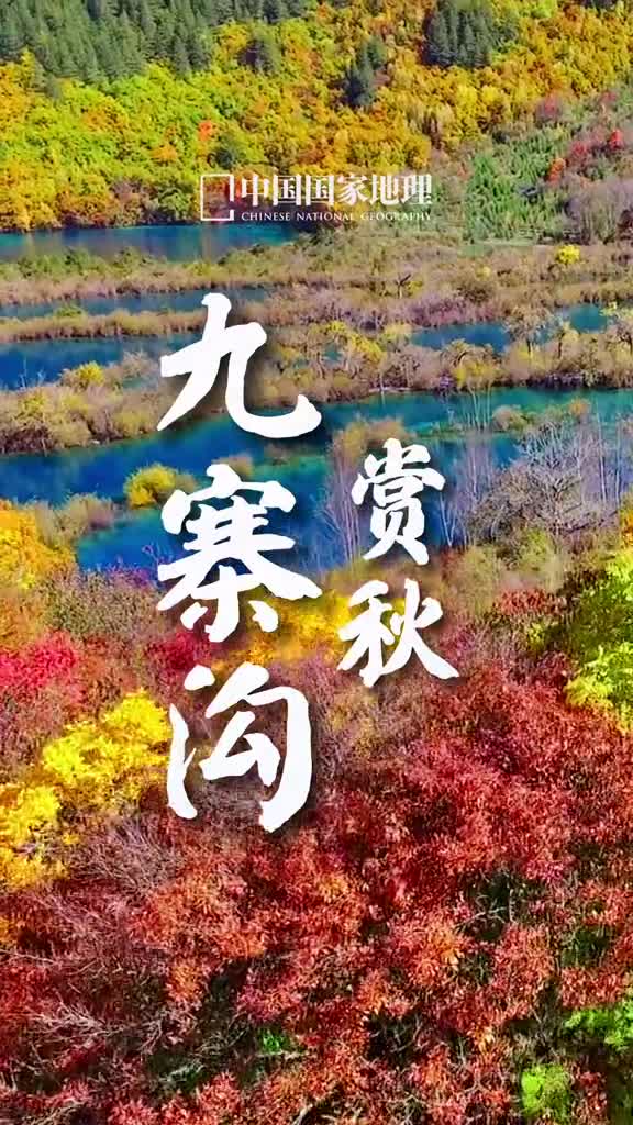 错过了夏不能再错过这个秋